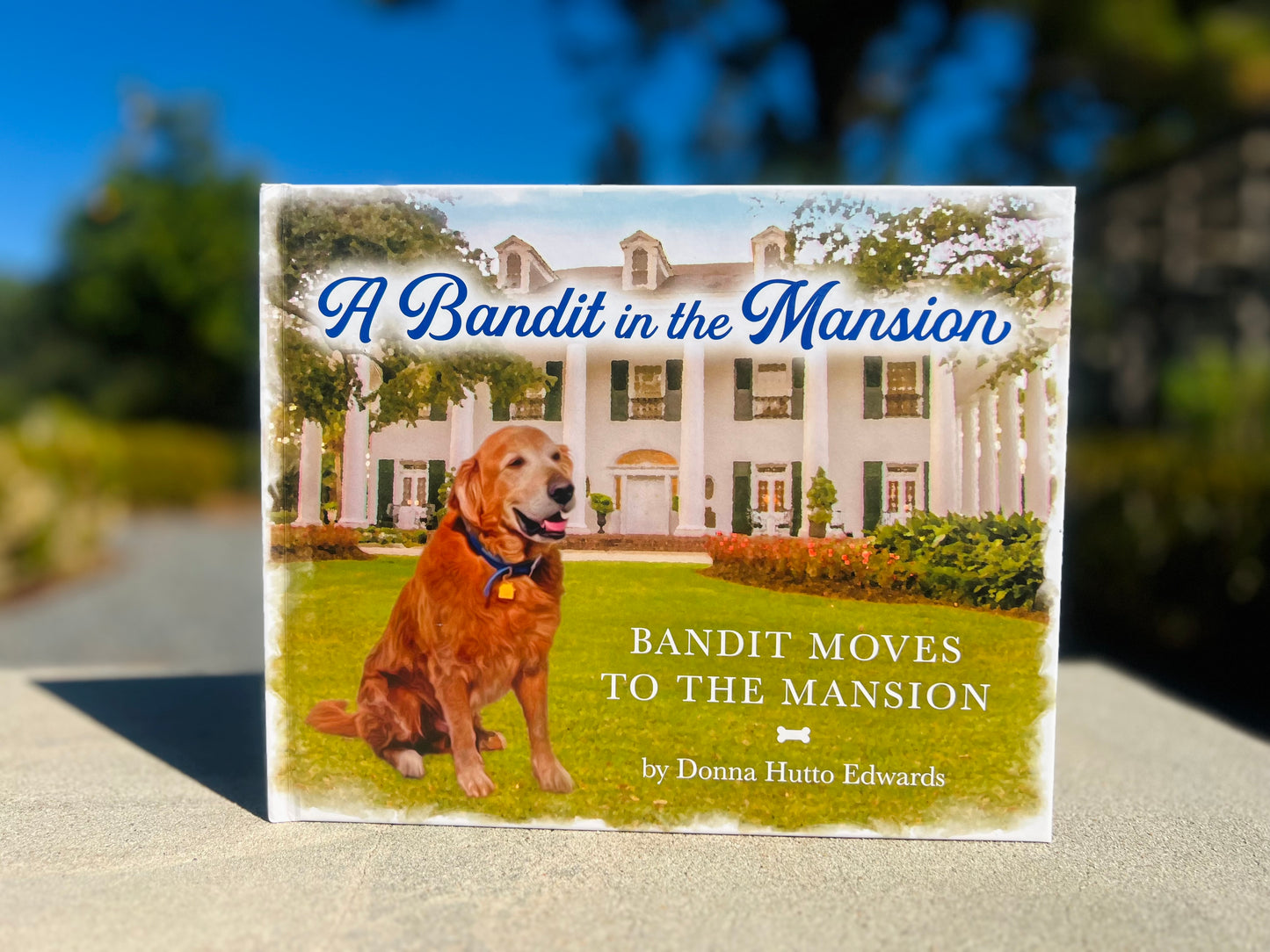 A Bandit in the Mansion